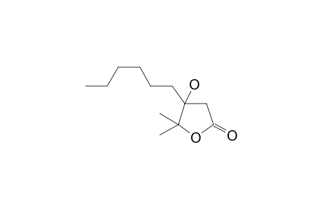 4-hexyl-4-hydroxy-5,5-dimethyloxolan-2-one