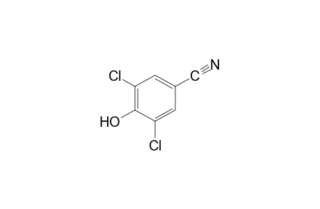 3,5-Dichloro-4-hydroxybenzonitrile