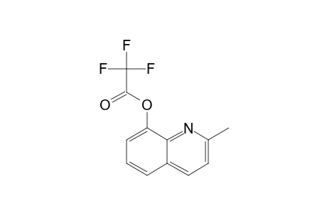 2-Methyl-8-hydroxyquinoline, trifluoroacetate