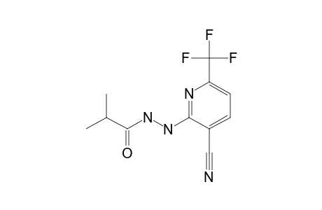 2-ISOPROPYL-CARBONYL-HYDRAZINO-3-CYANO-6-TRIFLUOROMETHYL-PYRIDINE