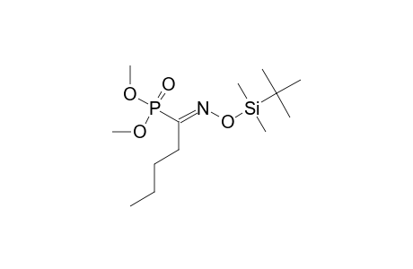 (E)-DIMETHYL-(1-TERT.-BUTYLDIMETHYLSILYLOXYIMINOPENTYL)-PHOSPHONATE