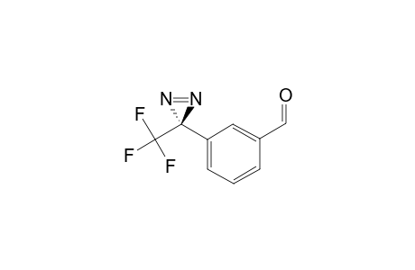 3-[3-(TRIFLUOROMETHYL)-3H-DIAZIRIN-3-YL]-BENZALDEHYDE