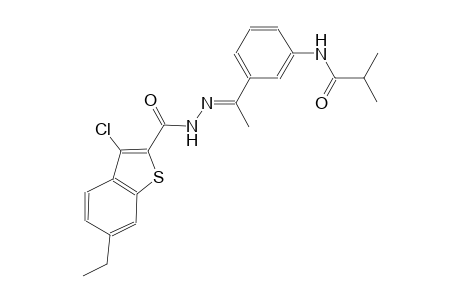 N-(3-{(1E)-N-[(3-chloro-6-ethyl-1-benzothien-2-yl)carbonyl]ethanehydrazonoyl}phenyl)-2-methylpropanamide