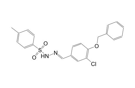 N'-{(E)-[4-(benzyloxy)-3-chlorophenyl]methylidene}-4-methylbenzenesulfonohydrazide