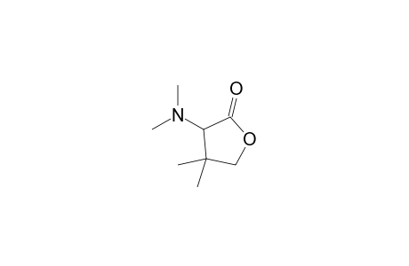 3-(dimethylamino)-4,4-dimethyl-2-oxolanone