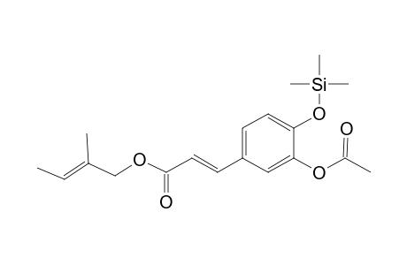 (E)-Caffeic acid, 3-acetoxy, 2-methyl-2-butenyl-, mono-TMS