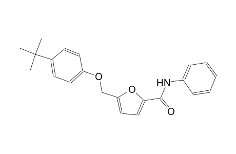 5-[(4-tert-butylphenoxy)methyl]-N-phenyl-2-furamide