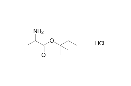DL-alanine, tert-pentyl ester, hydrochloride