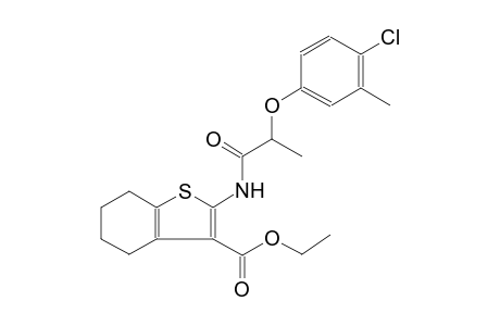 benzo[b]thiophene-3-carboxylic acid, 2-[[2-(4-chloro-3-methylphenoxy)-1-oxopropyl]amino]-4,5,6,7-tetrahydro-, ethyl ester