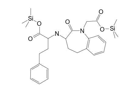 Benazepril-M/artifact 2TMS