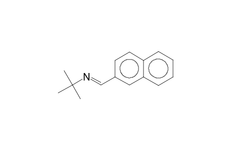 Naphthalene, 2-t-butyliminomethyl-