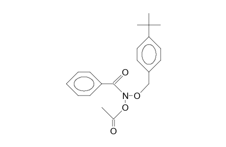 N-Acetoxy-benzohydroxamic acid, P-tert-butyl-benzyl ester
