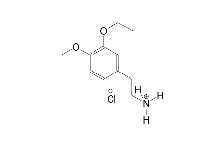 benzeneethanaminium, 3-ethoxy-4-methoxy-, chloride