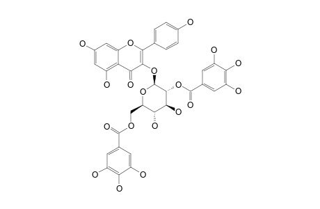 LOROPETALIN-D;ASTRAGALIN-2'',6''-DI-O-GALLATE