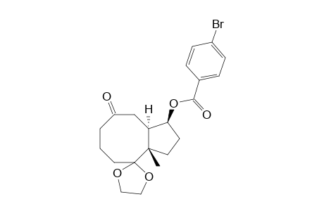 (1R*,8S*,11S*)-7,7-Ethylidenedioxy-8-methyl-3-oxobicyclo[6.3.0]undec-11-yl 4-beomobenzoateane