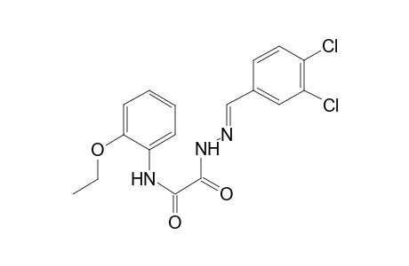 acetic acid, [(2-ethoxyphenyl)amino]oxo-, 2-[(E)-(3,4-dichlorophenyl)methylidene]hydrazide