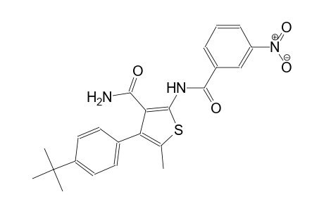 4-(4-tert-butylphenyl)-5-methyl-2-[(3-nitrobenzoyl)amino]-3-thiophenecarboxamide