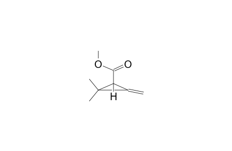 1,1-DIMETHYL-2-METHYLENE-3-CARBOMETHOXYCYCLOPROPANE