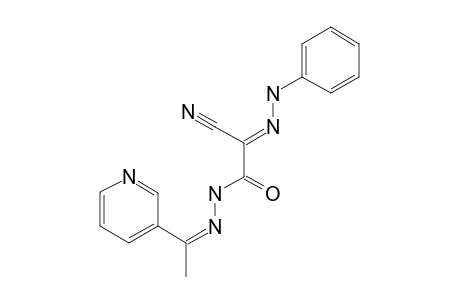 2-CYANO-2-(2-PHENYLHYDRAZINYLIDENE)-N'-[1-(PYRIDINE-3-YL)-ETHYLIDENE]-ACETOHYDRAZIDE