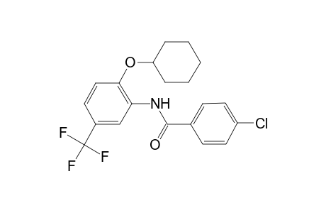 4-Chloro-N-[2-(cyclohexyloxy)-5-(trifluoromethyl)phenyl]benzamide