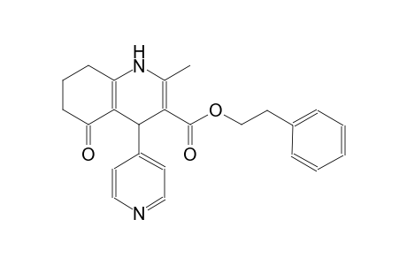 2-phenylethyl 2-methyl-5-oxo-4-(4-pyridinyl)-1,4,5,6,7,8-hexahydro-3-quinolinecarboxylate