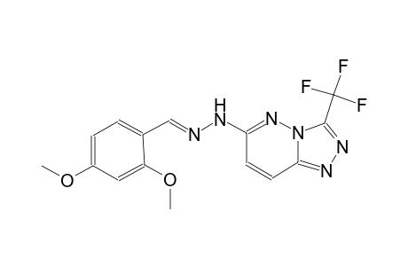 2,4-dimethoxybenzaldehyde [3-(trifluoromethyl)[1,2,4]triazolo[4,3-b]pyridazin-6-yl]hydrazone