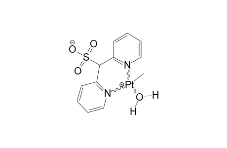 ENDO-(DPMS)-PTME-(OH2)