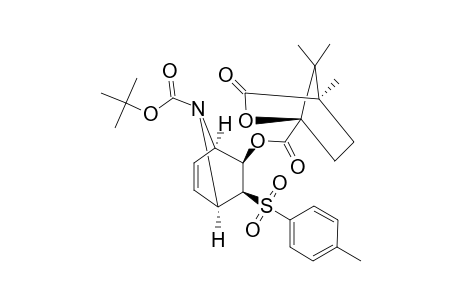 #23;(+/-)-(1R,4S,5R,6S)-7-TERT.-BUTOXYCARBONYL-5-ENDO-[(1S,4R)-CAMPHANOYLOXY]-6-ENDO-PARA-TOLUENESULFONYL-7-AZABICYCLO-[2.2.1]-HEPT-2-ENE;TERT.-BUTYL-(1