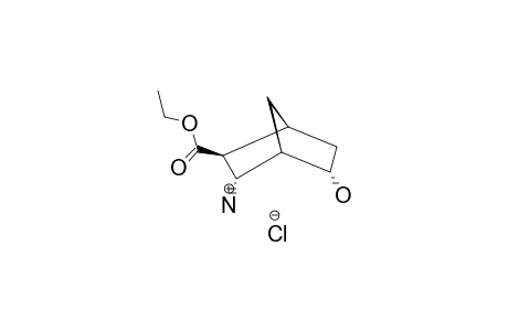 ETHYL-(1S*,2R*,3S*,4S*,5R*)-3-AMINO-5-HYDROXYBICYCLO-[2.2.1]-HEPTANE-2-CARBOXYLATE-HYDROCHLORIDE