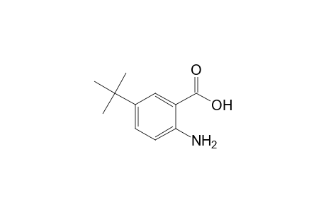 2-Amino-5-tert-butyl-benzoic acid