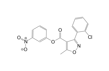 4-isoxazolecarboxylic acid, 3-(2-chlorophenyl)-5-methyl-, 3-nitrophenyl ester