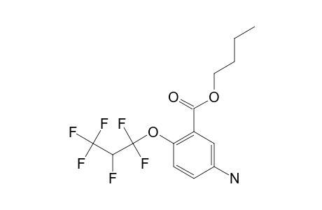 3-AMINO-6-(2H-PERFLUORO-N-PROPYL)-BENZOIC-ACID-N-BUTYLESTER