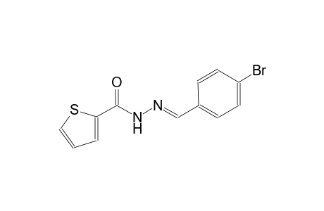 N'-[(E)-(4-bromophenyl)methylidene]-2-thiophenecarbohydrazide