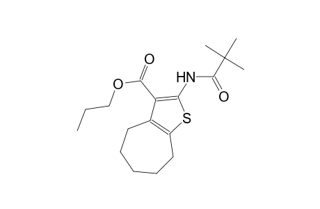 propyl 2-[(2,2-dimethylpropanoyl)amino]-5,6,7,8-tetrahydro-4H-cyclohepta[b]thiophene-3-carboxylate