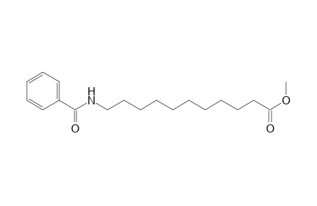 Undecanoic acid, 11-benzamido-, methyl ester
