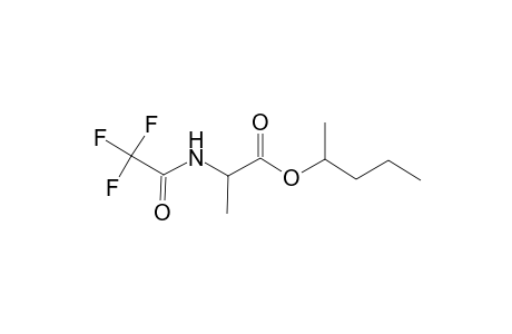 L-Alanine, N-(trifluoroacetyl)-, 1-methylbutyl ester
