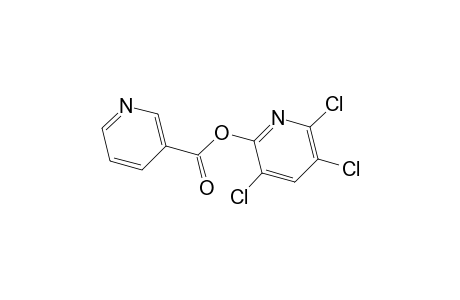 3,5,6-Trichloropyridin-2-yl nicotinate