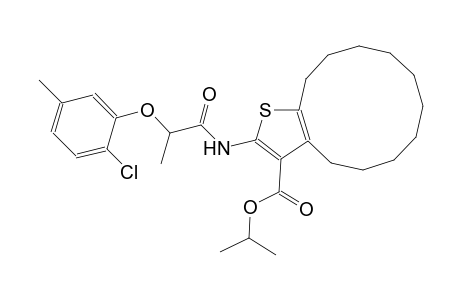 isopropyl 2-{[2-(2-chloro-5-methylphenoxy)propanoyl]amino}-4,5,6,7,8,9,10,11,12,13-decahydrocyclododeca[b]thiophene-3-carboxylate