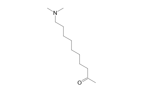 1-(dimethylamino)decan-9-one