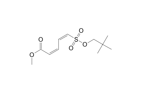 Methyl (2Z,4Z)-5-[(neopentyloxy)sulfonyl]penta-2,4-dienoate