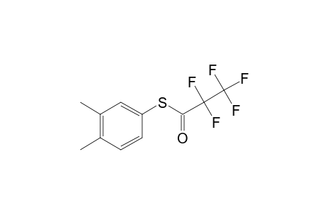 3,4-Dimethylthiophenol, S-pentafluoropropionyl-