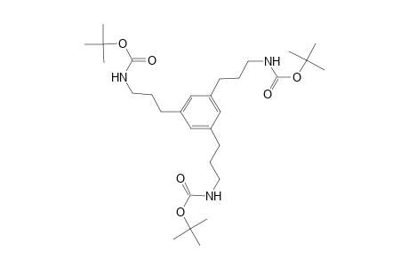 N-[3-[3,5-bis[3-(tert-butoxycarbonylamino)propyl]phenyl]propyl]carbamic acid tert-butyl ester
