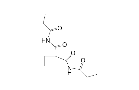 N,N'-DIPROPIONYL-1,1-CYCLOBUTANEDICARBOXAMIDE