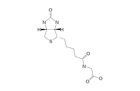 BIOT-3-(1);[5-(2-OXO-HEXAHYDROTHIENO-[3,4-D]-IMIDAZOL-6-YL)-PENTANOYLAMINO]-ACETIC-ACID
