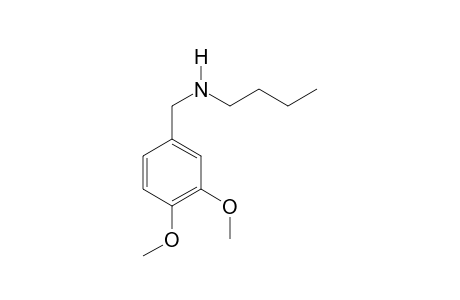 N-Butyl-3,4-dimethoxybenzylamine