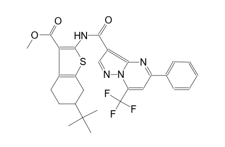 methyl 6-tert-butyl-2-({[5-phenyl-7-(trifluoromethyl)pyrazolo[1,5-a]pyrimidin-3-yl]carbonyl}amino)-4,5,6,7-tetrahydro-1-benzothiophene-3-carboxylate