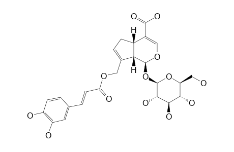 10-O-(E)-CAFFEOYL-GENIPOSIDIC-ACID