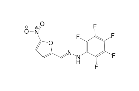 2-furancarboxaldehyde, 5-nitro-, (2,3,4,5,6-pentafluorophenyl)hydrazone
