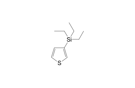 Triethyl(thiophen-3-yl)silane