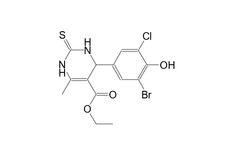 ethyl 4-(3-bromo-5-chloro-4-hydroxyphenyl)-6-methyl-2-thioxo-1,2,3,4-tetrahydro-5-pyrimidinecarboxylate